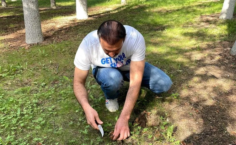 Dünyada sadece o ilde keşfedildi! Türkiye’de yetişiyor...