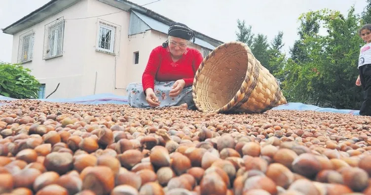 Erdoğan bizi darda bırakmadı