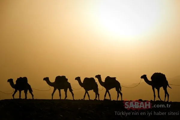 Bugün Hicri yılbaşı. Yani 1 Muharrem 1440…