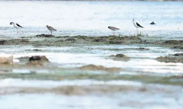12 doğal güzellik kesin korunacak