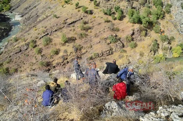 Bitlis’te uçurumdan düşen 315 koyun telef oldu