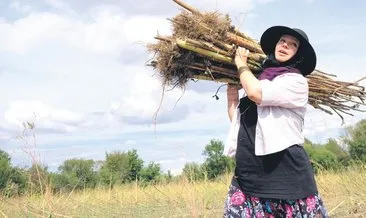 Ayçiçeği sapları köy ekmeğine lezzet katıyor