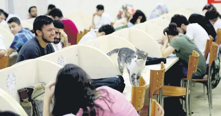 Kütüphane Paşa’sı