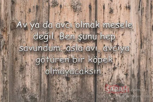 kabak saksı camp belvidere