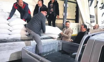 Üreticilere 169 ton arı yemi desteği #kocaeli
