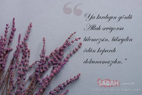 Doğum yıl dönümde Mevlana'yı anıyoruz...Mevlana'nın 10 özlü sözü