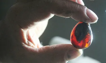 Bayburt’ta çıktı, Çinliler talip oldu!