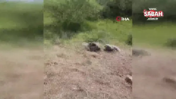 Havadan ve karadan 25 kişilik ekiple aranan köpek 88 saat sonra bulundu | Video