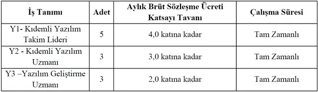 izmir-katip-celebi-universitesi-11-sozlesmeli-bilisim-personeli-alacak-1740371799625.jpg