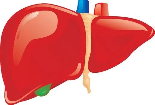 Karaciğer yağlanması olanlar için ciddi problem…
