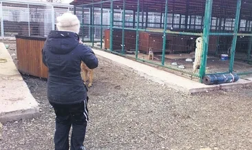 Onca hayvanı öldürecek misin