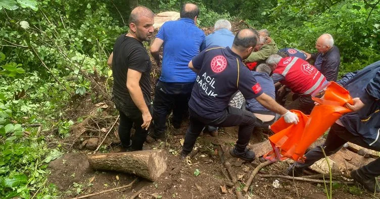 Trabzon’da baba-oğulun feci ölümü! Kestikleri ağacın altında kaldılar