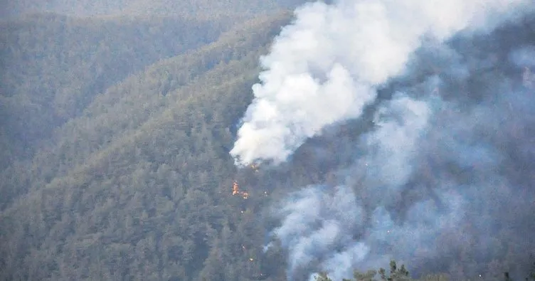 Amanoslar’da alevler 30 hektar ormanı kül etti