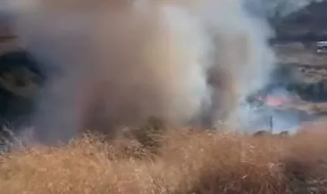 Tekirdağ’da ağaçlık alanda çıkan yangın söndürüldü! 80 dekar alan zarar gördü