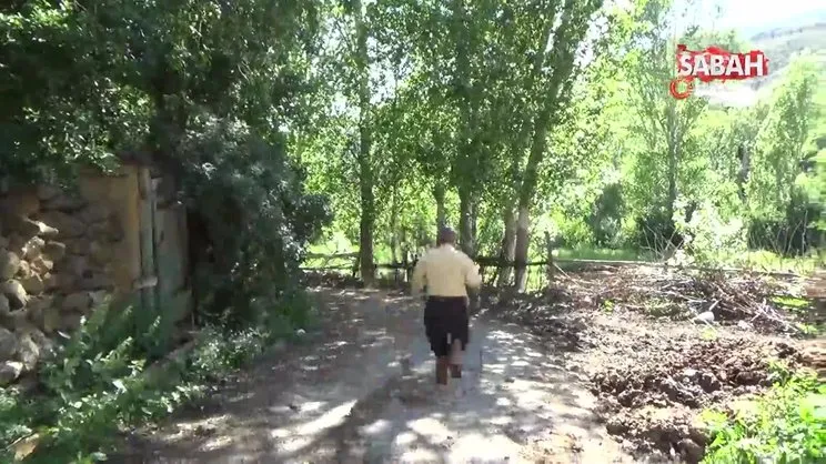 Ayının üzerine yürüyen meşhur pala dayı cesaretiyle ayıya geri adım attırdı | Video