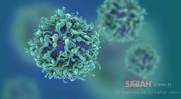 Kanseri ilk günden anlayabilirsiniz! İşte kanserin ilk belirtisi...