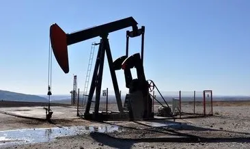 TPAO’nun Diyarbakır ve Mardin’deki sahasında petrol arama ruhsat süresi uzatıldı