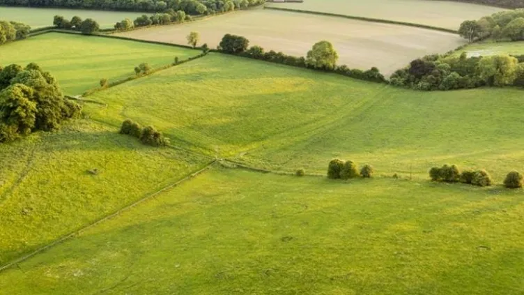 SON DAKİKA: Yüzyılın projesinde arsa atağı! Kimler başvurabilir: İşte 1 milyon arsanın illere göre dağılımı