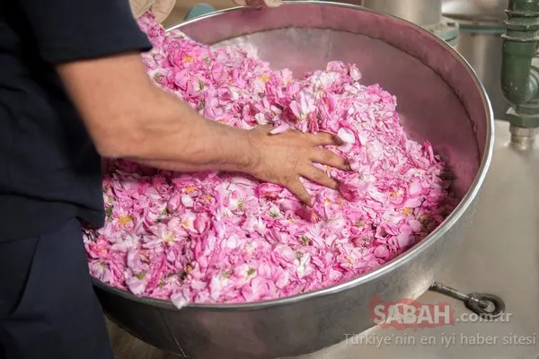 Pembe altına akın