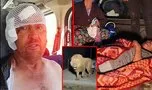 Antalya’da aslan paniği! Tarlada uyuyan Süleyman Kır o dehşet anlarını anlattı: Önce hayalet sandım...