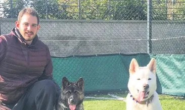 ‘Köpekler kavga etti, benim suçum yok’