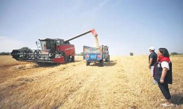 Buğdaya sıkı koruma