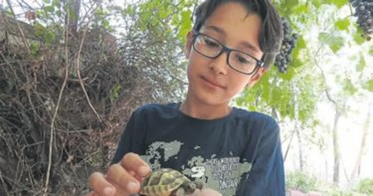 Hayvan sevgisi fenomen yaptı