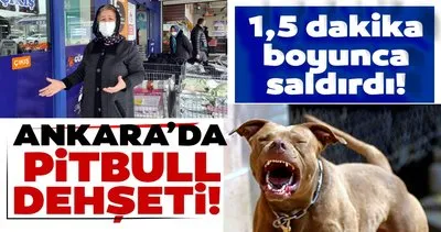 Ankara’da pitbull saldırısı! Canlarını zor kurtardılar...