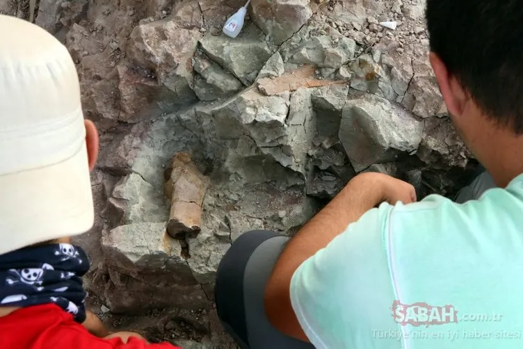 Çankırı’daki fosil kazıları kitap oluyor