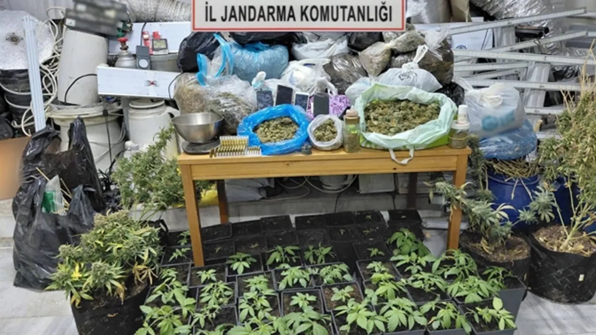 Tekirdağ’da eve kurduğu sistem pes dedirtti! Kaçak elektrikle uyuşturucu serası kurmuş… Tekirdağ’da eve kurduğu sistem pes dedirtti! Kaçak elektrikle uyuşturucu serası kurmuş…