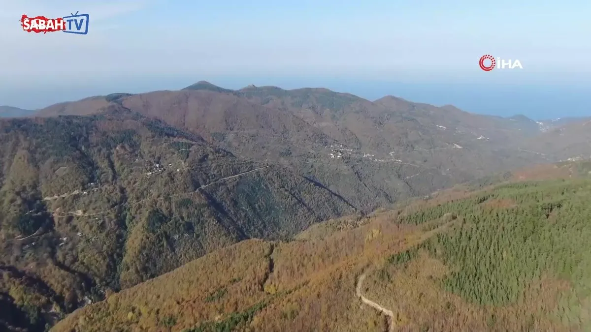 Kayıp annenin cesedini kuzgunu takip eden vatandaşlar bulmuş | Video videosunu izle Kayıp annenin cesedini kuzgunu takip eden vatandaşlar bulmuş | Video videosunu izle