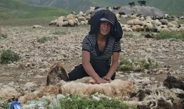 22 yaşındaki genç kız koyunlara çobanlık yapıyor
