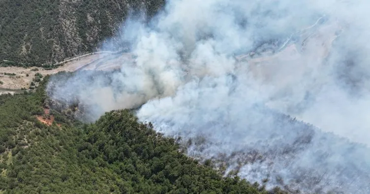 Karabük’te orman yangını