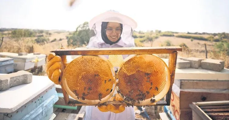Arıcılara kovan başına ek destek