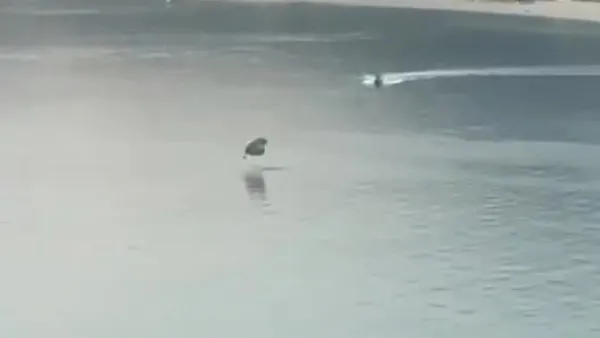 Fethiye’de yamaç paraşütü denize indi | Video
