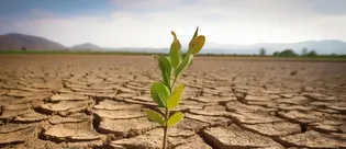 56 milyon yıl önce dünya nasıl cehenneme döndü? Bilim insanları şaşkın: Tehlike yeniden kapımızda...