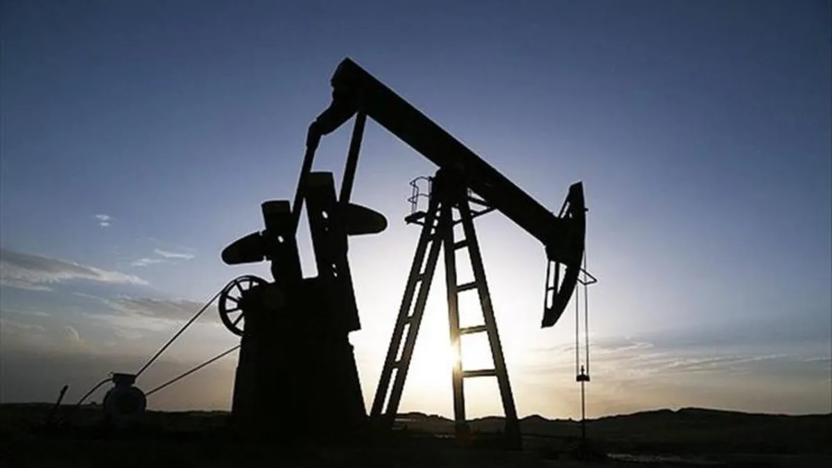 Türkiye’nin günlük petrol üretimi 132 bin varile ulaştı