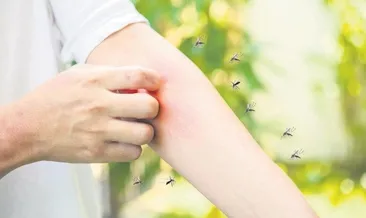 Yaz aylarında alerjiler hayatınızı kabusa çevirmesin