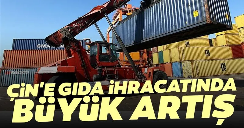 Cin E Gida Ihracati Yuzde 86 Artti Haberler Haberleri