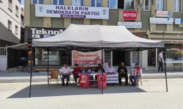 Muş’ta 37 aile, 60 haftadır evlatları için eylemde #diyarbakir