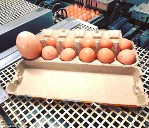 Marketten aldılar! İçinden çıkanlar şoke etti