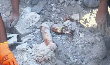 Ateş bölgeyi sarmaya devam ediyor