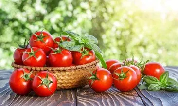 Türkiye’nin 9 aylık domates ihracatı 2022 rakamlarını geçti