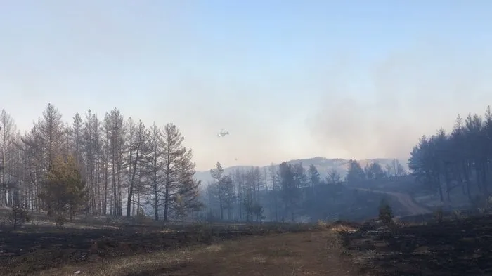 Çankırı’da orman yangınına 2 helikopter ve 1 uçak destek verdi