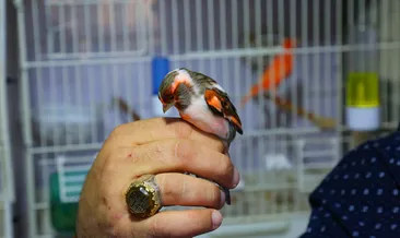 Eyüpsultan’ın en güzel dünya şampiyonu