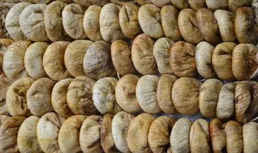 Kuru incir ihracatçılarından rekor beklentisi