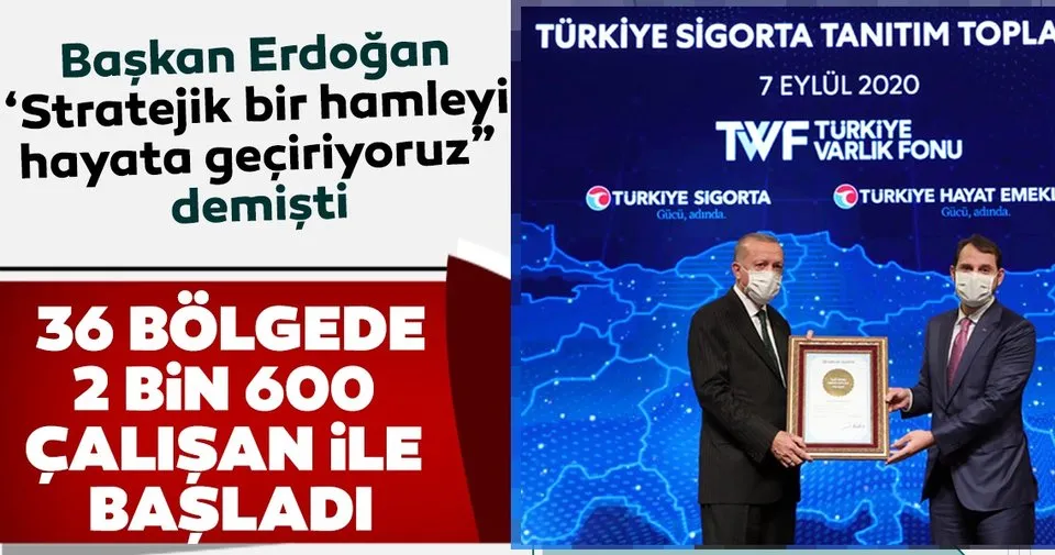 turkiye sigorta baskani benli den