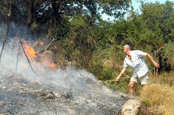 Bodrum'da yangın