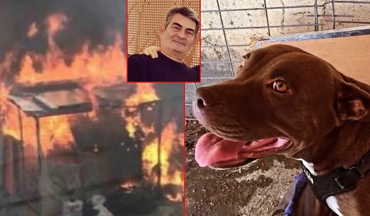Şila isimli köpeği yakarak öldürdü! Katil Ömer Faruk Baki’nin cezası belli oldu!