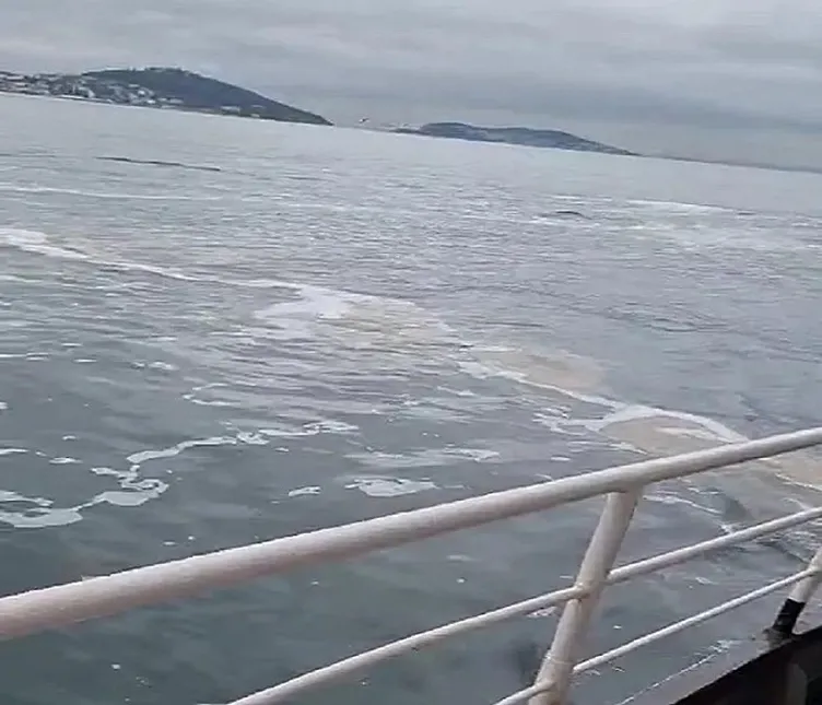 Marmara’nın kabusu geri döndü! Denizin üstü beyaz tabakayla kaplandı! En son 2021’de görülmüştü...